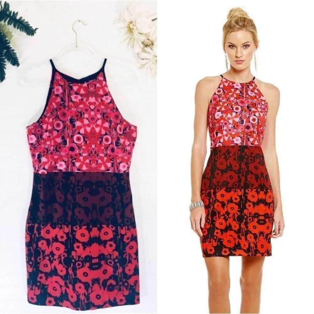 Belle Badgley Mischka Floral Red Pink Color Block Dress NWT Size 8